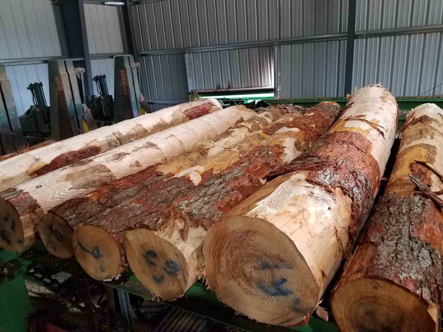 N.C. Hunt Lumber Jefferson & Damariscotta, ME